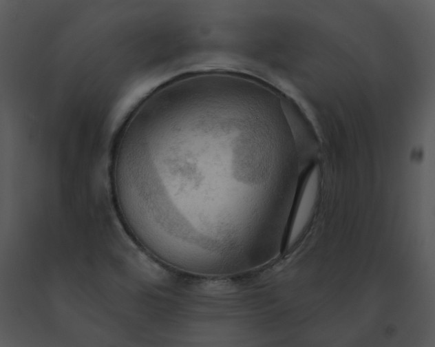 X0000091461464200708301821