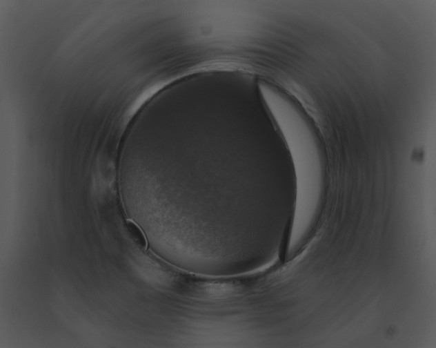 X0000091461465200708301821