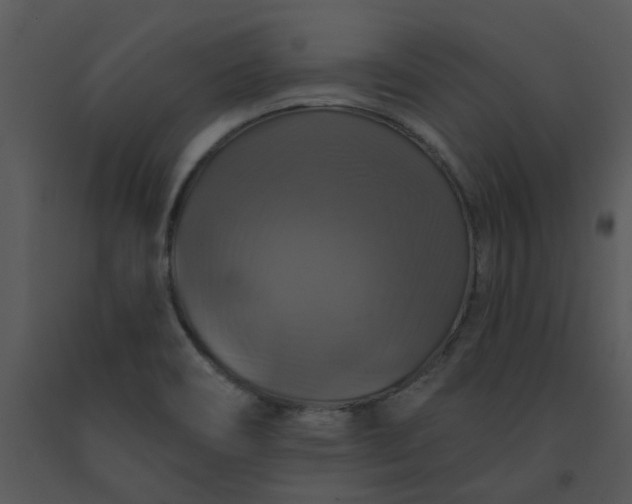 X0000091461466200708301821