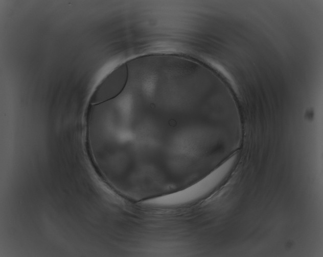 X0000091461467200708301821