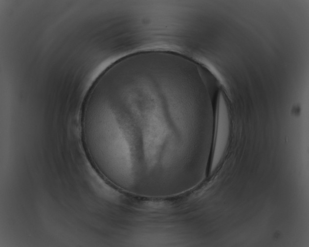 X0000091461468200708301821