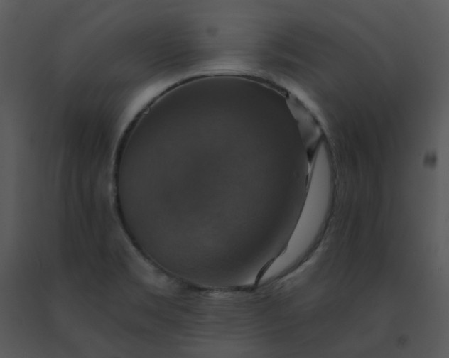 X0000091461469200708301821