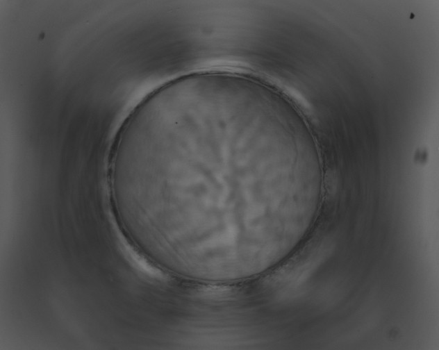 X0000091461470200708301821