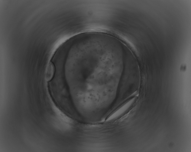 X0000091461471200708301821