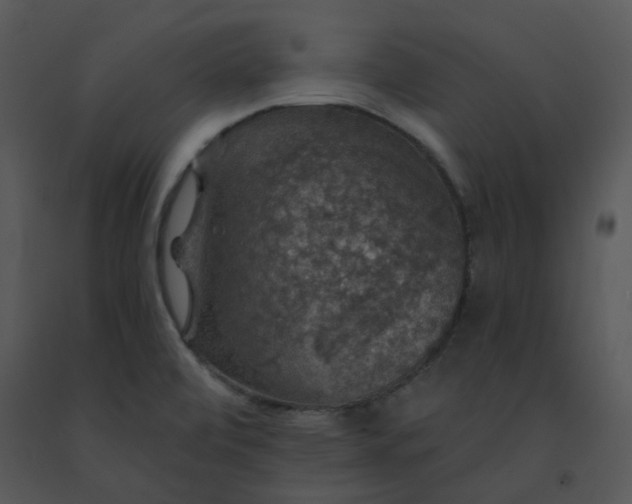 X0000091461472200708301821