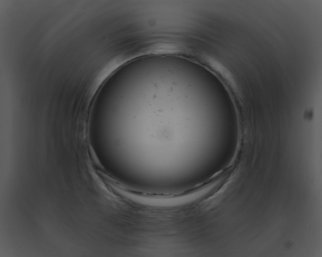 X0000091461473200708301821