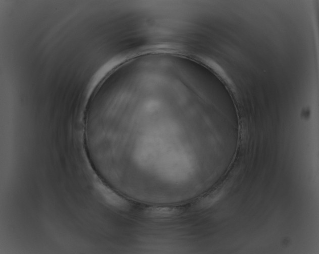 X0000091461474200708301821