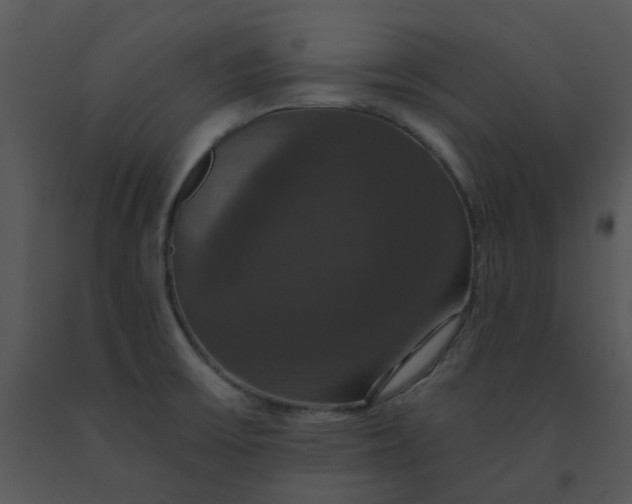 X0000091461475200708301821