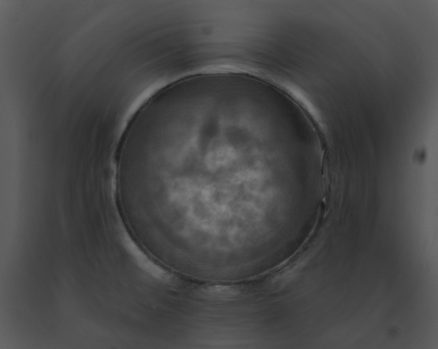 X0000091461476200708301821