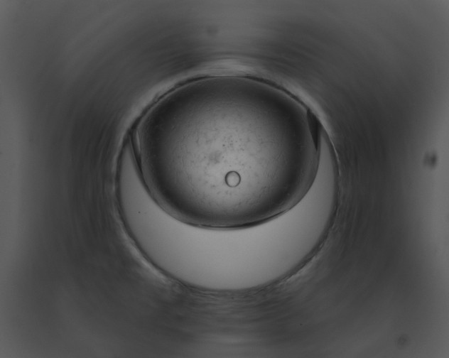 X0000091461477200708301821