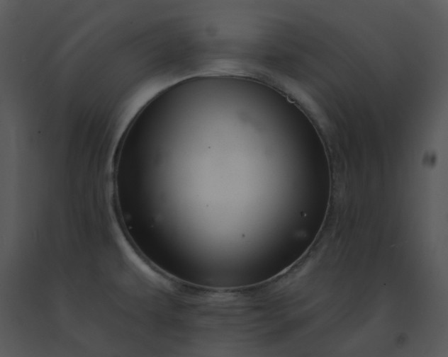 X0000091461479200708301820