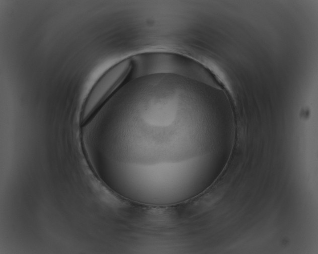 X0000091461480200708301820