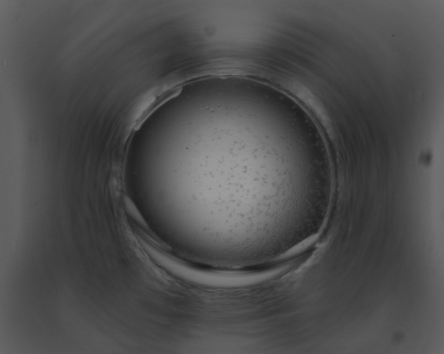 X0000091461481200708301820