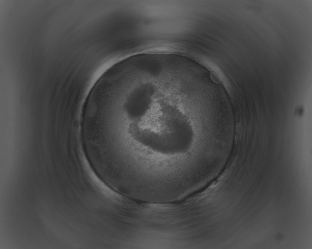 X0000091461483200708301820