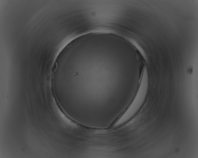 X0000091461484200708301820