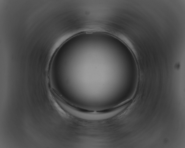 X0000091461485200708301820