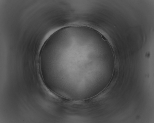 X0000091461486200708301820