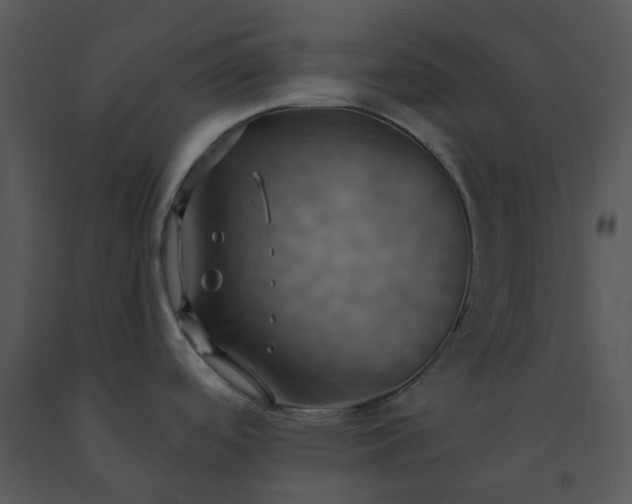 X0000091461488200708301820