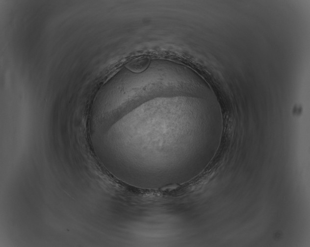 X0000091461489200708301820