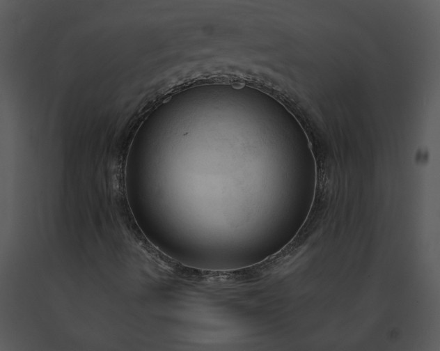 X0000091461490200708301820