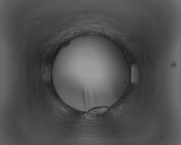 X0000091461491200708301820