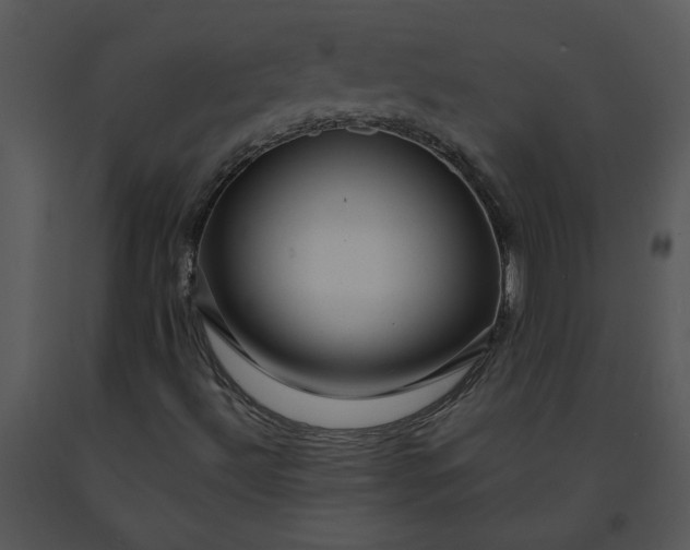 X0000091461492200708301820