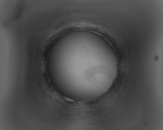 X0000091461493200708301820