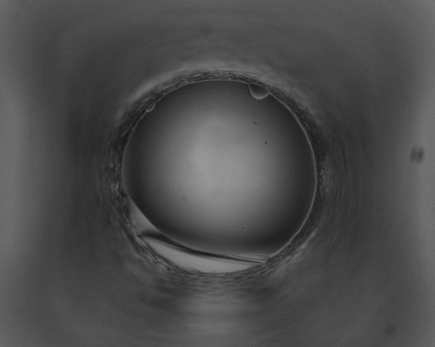 X0000091461494200708301820