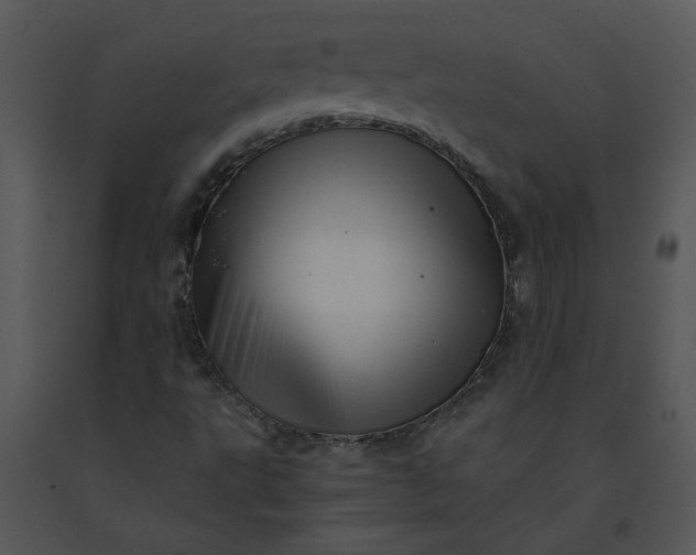 X0000091461495200708301820