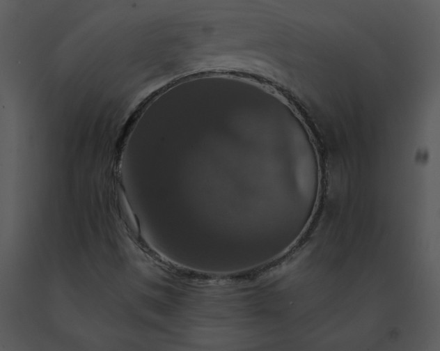 X0000091461497200708301820