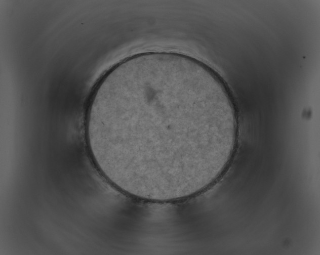 X0000091461498200708301820