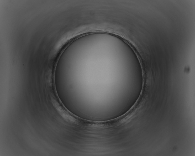 X0000091461499200708301820