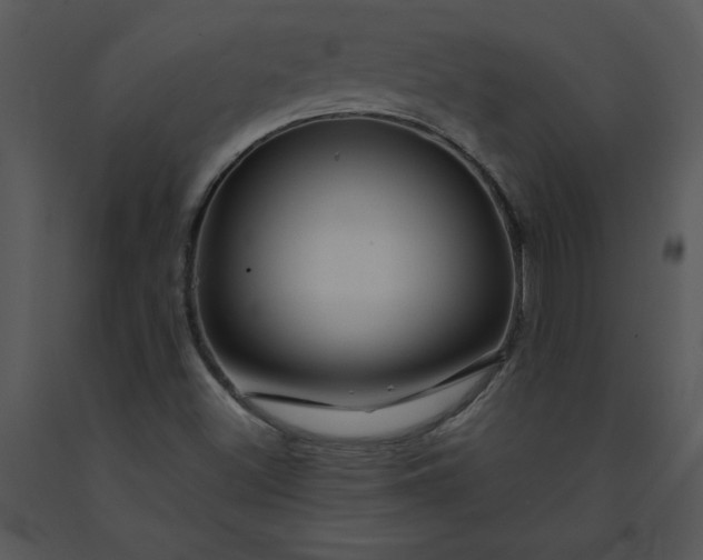 X0000091461500200708301820