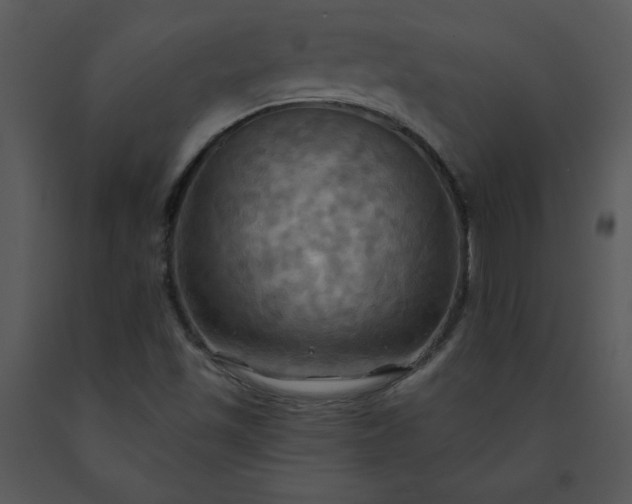 X0000091461501200708301820