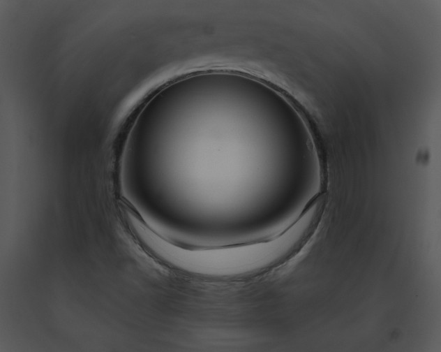 X0000091461502200708301820