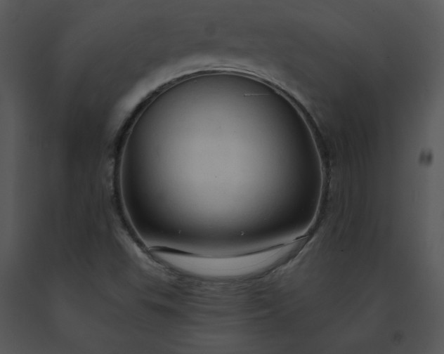 X0000091461503200708301820