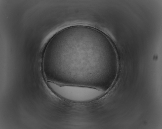 X0000091461504200708301820