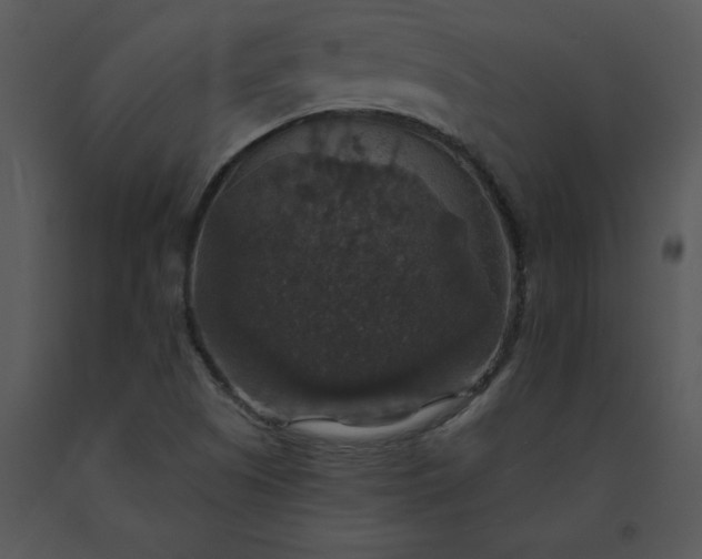 X0000091461505200708301820