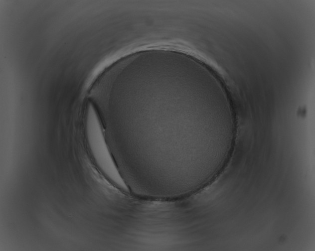 X0000091461506200708301820