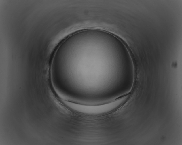 X0000091461507200708301820