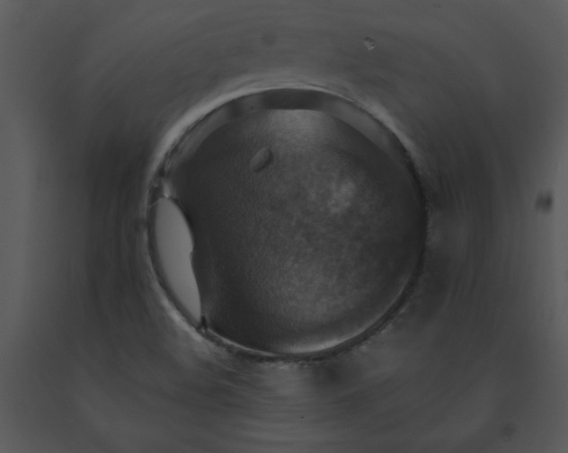 X0000091461508200708301820