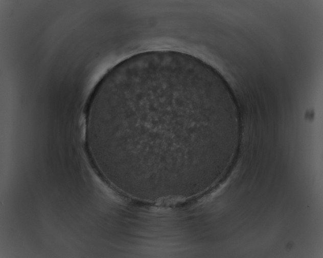 X0000091461509200708301820