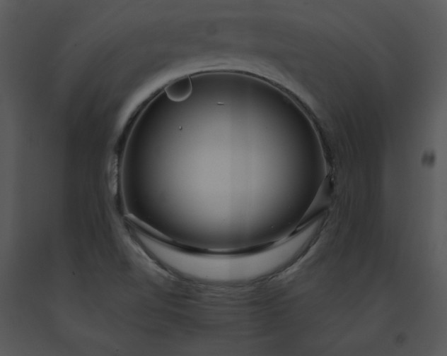 X0000091461510200708301820