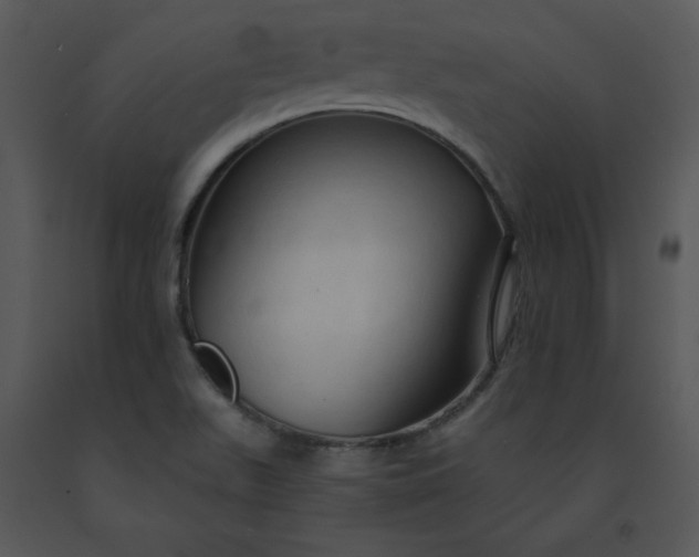 X0000091461511200708301820