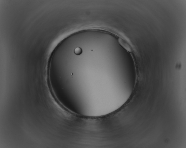 X0000091461512200708301820