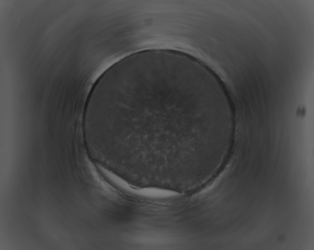 X0000091461513200708301820