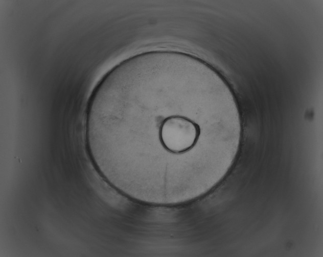 X0000091461514200708301820