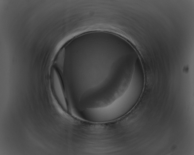 X0000091461515200708301820