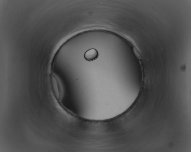 X0000091461516200708301820