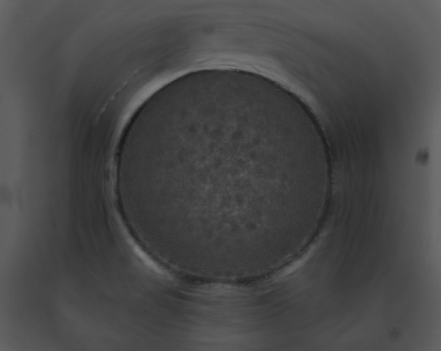 X0000091461517200708301820